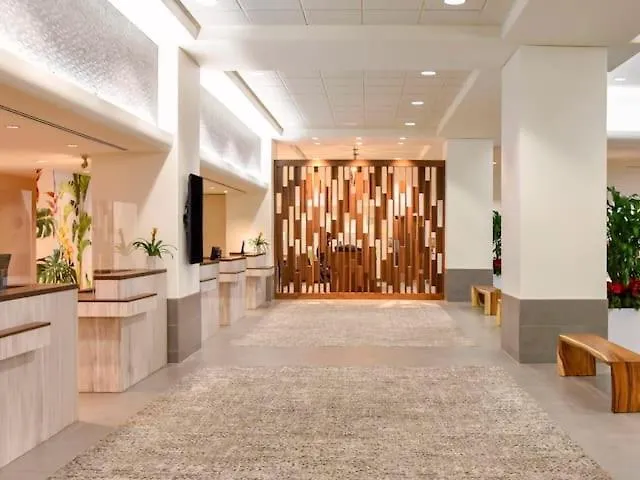 Top Floor Studio With Balcony & Views 3528 Honolulu